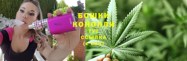 прущие крисы Корсаков