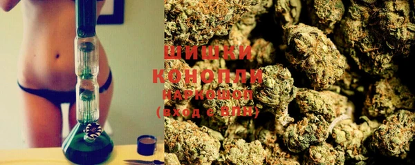 амф Коряжма