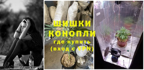 амф Костерёво